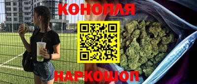 МДПВ Гусев