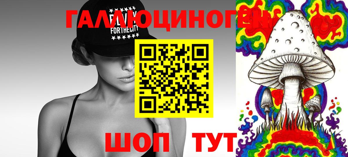 Евпатория  Галлюциногенные грибы прущие грибы  Вход с VPN 